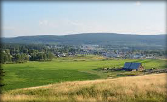 100 Mile Ranch - Hay Sales - 100 Mile House - South Cariboo - British Columbia